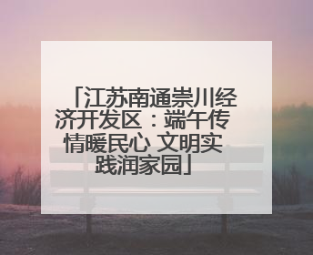 江苏南通崇川经济开发区：端午传情暖民心 文明实践润家园