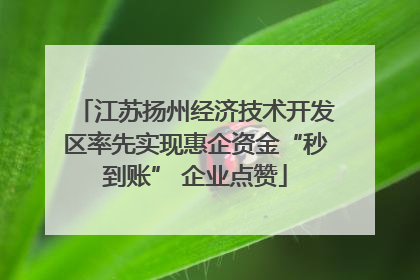 江苏扬州经济技术开发区率先实现惠企资金“秒到账” 企业点赞