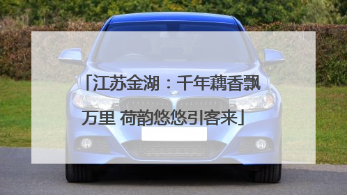 江苏金湖：千年藕香飘万里 荷韵悠悠引客来