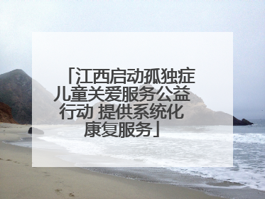 江西启动孤独症儿童关爱服务公益行动 提供系统化康复服务