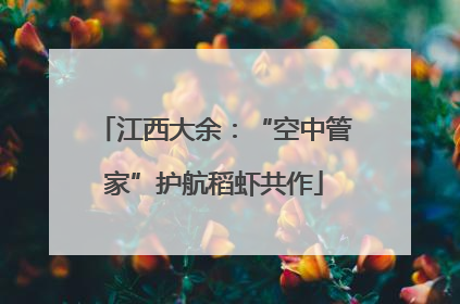 江西大余：“空中管家”护航稻虾共作