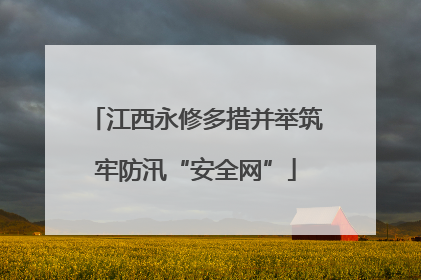江西永修多措并举筑牢防汛“安全网”