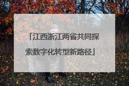 江西浙江两省共同探索数字化转型新路径