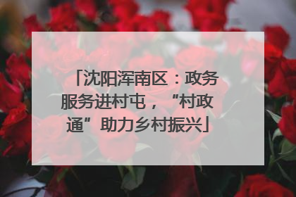 沈阳浑南区：政务服务进村屯，“村政通”助力乡村振兴