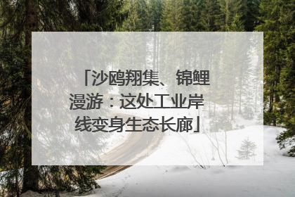 沙鸥翔集、锦鲤漫游：这处工业岸线变身生态长廊