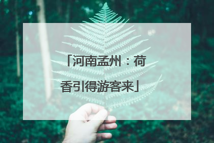 河南孟州：荷香引得游客来