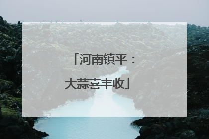 河南镇平：大蒜喜丰收