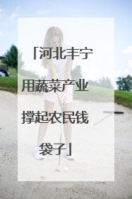 河北丰宁用蔬菜产业撑起农民钱袋子