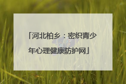 河北柏乡：密织青少年心理健康防护网
