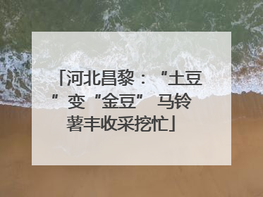 河北昌黎：“土豆”变“金豆” 马铃薯丰收采挖忙