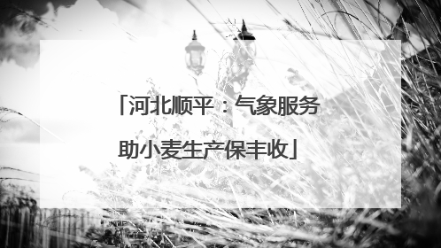 河北顺平：气象服务助小麦生产保丰收