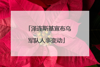泽连斯基宣布乌军队人事变动