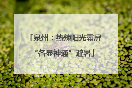 泉州：热辣阳光霸屏 “各显神通”避暑