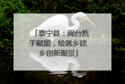 泰宁县：闽台携手赋能，绘就乡建乡创新图景