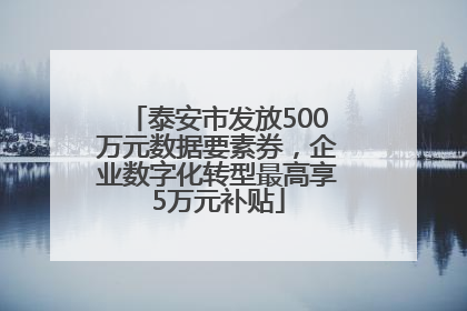泰安市发放500万元数据要素券，企业数字化转型最高享5万元补贴