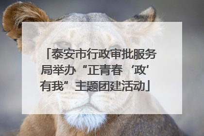 泰安市行政审批服务局举办“正青春‘政’有我”主题团建活动