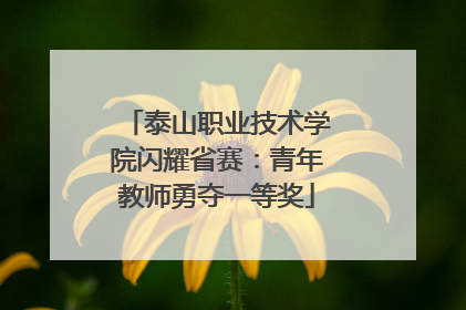 泰山职业技术学院闪耀省赛：青年教师勇夺一等奖