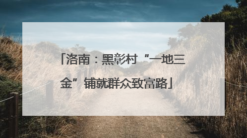 洛南：黑彰村“一地三金”铺就群众致富路