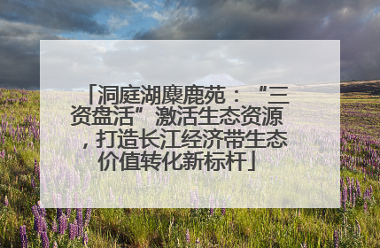 洞庭湖麋鹿苑：“三资盘活”激活生态资源，打造长江经济带生态价值转化新标杆