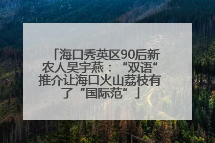 海口秀英区90后新农人吴宇燕：“双语”推介让海口火山荔枝有了“国际范”