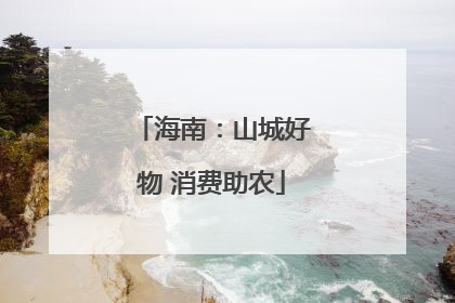 海南：山城好物 消费助农