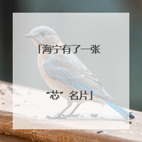 海宁有了一张“芯”名片