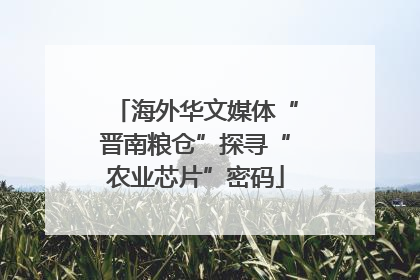 海外华文媒体“晋南粮仓”探寻“农业芯片”密码