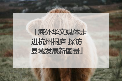 海外华文媒体走进杭州桐庐 探访县域发展新图景
