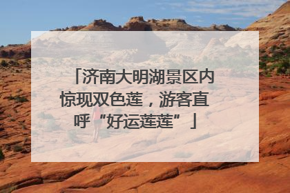 济南大明湖景区内惊现双色莲，游客直呼“好运莲莲”