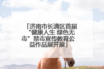 济南市长清区首届“健康人生 绿色无毒”禁毒宣传教育公益作品展开展