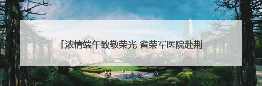 浓情端午致敬荣光 省荣军医院赴荆门市光荣院开展主题党日暨慰问活动