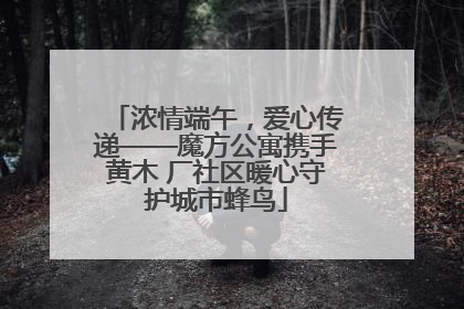浓情端午，爱心传递——魔方公寓携手黄木 厂社区暖心守护城市蜂鸟