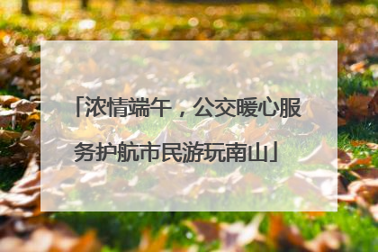 浓情端午，公交暖心服务护航市民游玩南山