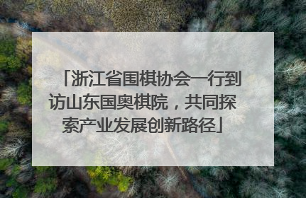 浙江省围棋协会一行到访山东国奥棋院，共同探索产业发展创新路径