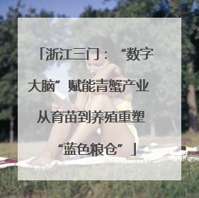 浙江三门：“数字大脑”赋能青蟹产业 从育苗到养殖重塑“蓝色粮仓”