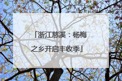 浙江慈溪：杨梅之乡开启丰收季