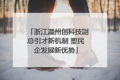 浙江温州创科技副总引才新机制 塑民企发展新优势