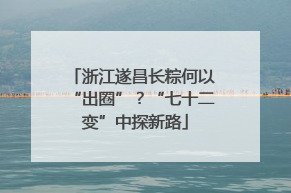 浙江遂昌长粽何以“出圈”？“七十二变”中探新路