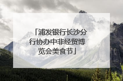 浦发银行长沙分行协办中非经贸博览会美食节