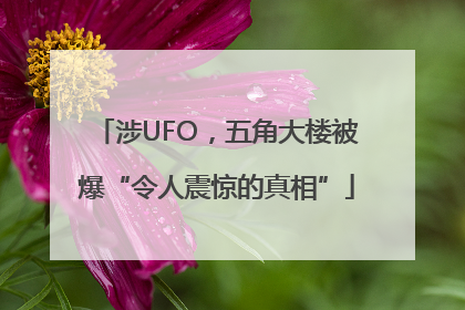 涉UFO，五角大楼被爆“令人震惊的真相”