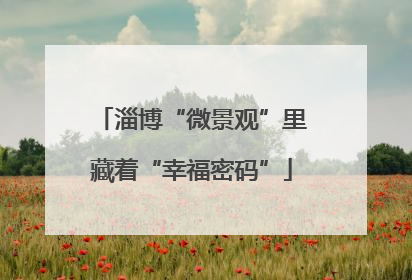 淄博“微景观”里藏着“幸福密码”