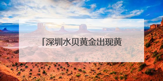 深圳水贝黄金出现黄金版Labubu？商家：只是相似，克重小，仅需几百元
