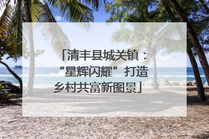 清丰县城关镇：“星辉闪耀”打造乡村共富新图景