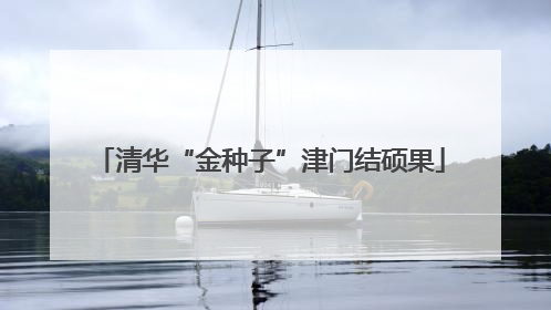 清华“金种子”津门结硕果