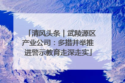 清风头条｜武陵源区产业公司：多措并举推进警示教育走深走实