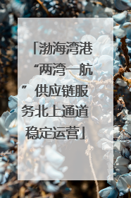 渤海湾港“两湾一航”供应链服务北上通道稳定运营