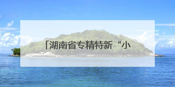 湖南省专精特新“小巨人”企业培育政策解读会在长沙举办