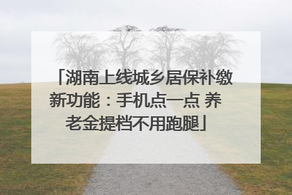 湖南上线城乡居保补缴新功能：手机点一点 养老金提档不用跑腿