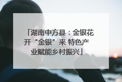 湖南中方县：金银花开“金银”来 特色产业赋能乡村振兴