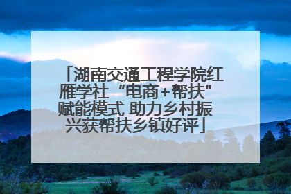 湖南交通工程学院红雁学社“电商+帮扶”赋能模式 助力乡村振兴获帮扶乡镇好评